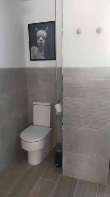 Apartamento Laurana ซานตานเดร์ ภายนอก รูปภาพ